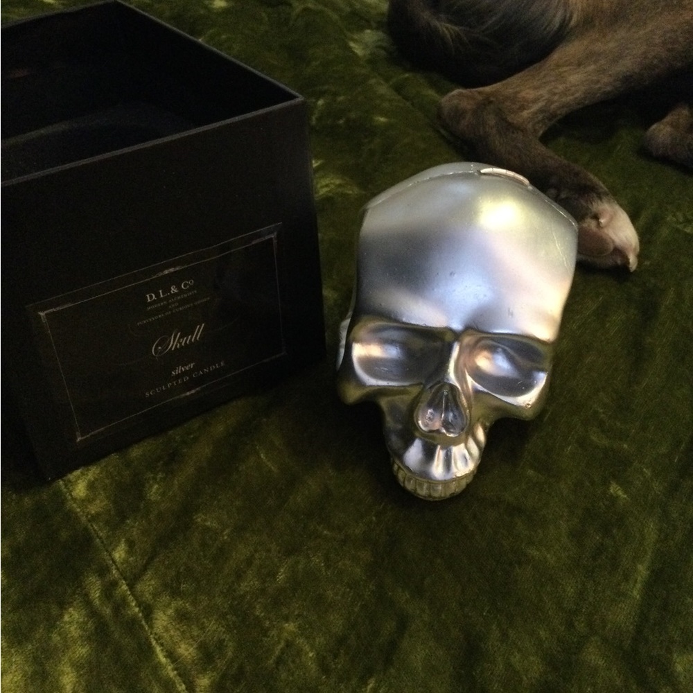 Modern Alchemy D&L Co silver skull medium memento mori candle NIB